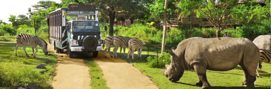 Bali Safari and Marine Park