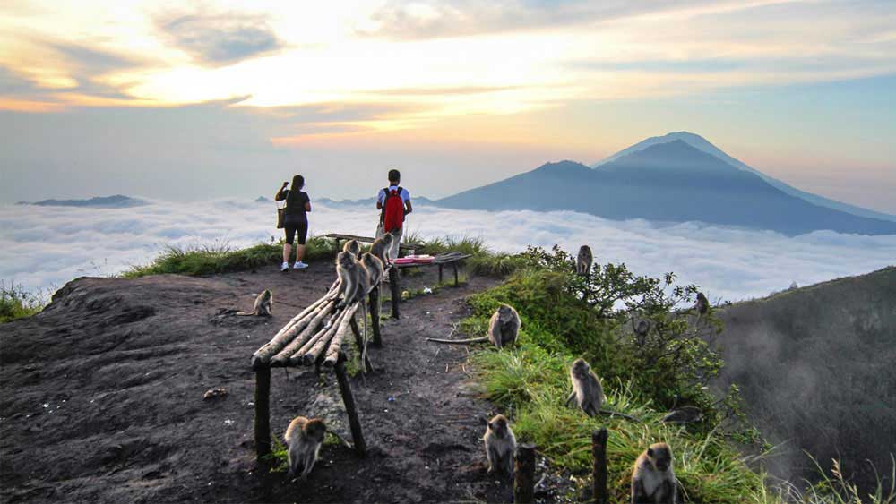 international trekking tours